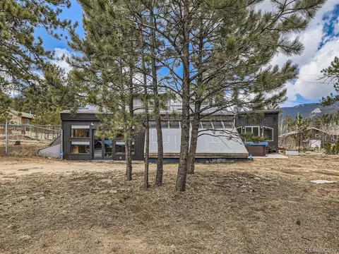 45 Fitzsimmons Rd, Bailey, CO 80421 photo 5