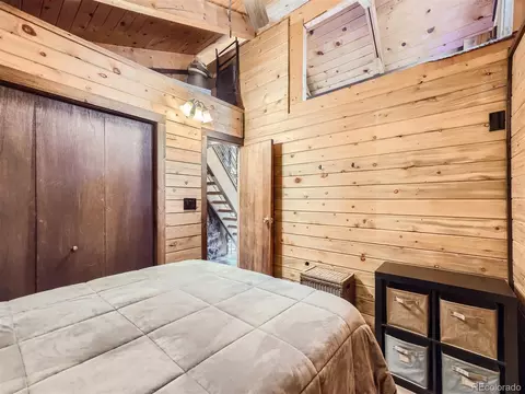 45 Fitzsimmons Rd, Bailey, CO 80421 photo 14