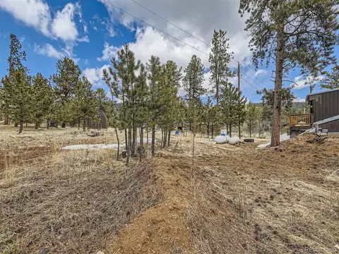 45 Fitzsimmons Rd, Bailey, CO 80421 photo 27