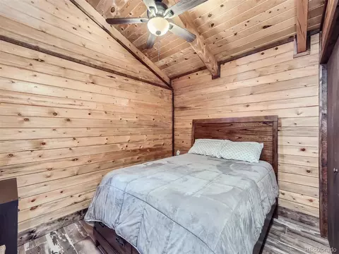 45 Fitzsimmons Rd, Bailey, CO 80421 photo 13