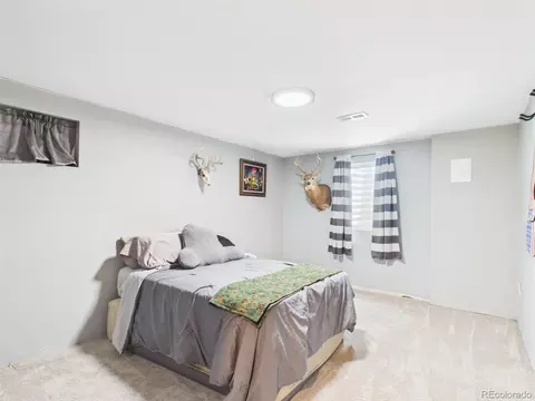 Bedroom - 8042 Silver Birch Blvd, Frederick, CO 80504 photo 6 of 7