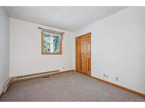 20025 Flint Ln, Morrison, CO 80465 photo 19