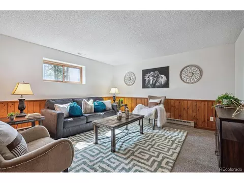 20025 Flint Ln, Morrison, CO 80465 photo 21