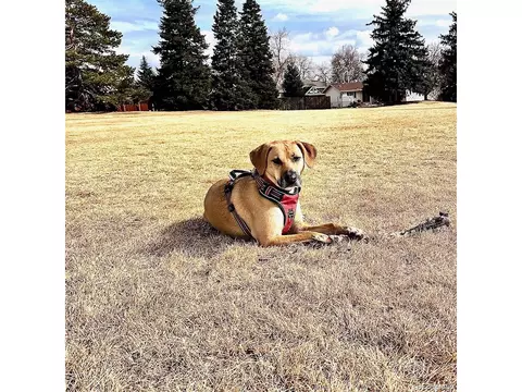 Other - 8791 Allison Dr #E, Arvada, CO 80005 photo 5 of 6