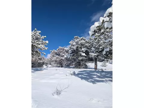 2007 Bluffs, Crestone, CO 81131 photo 15