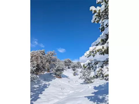 2007 Bluffs, Crestone, CO 81131 photo 18