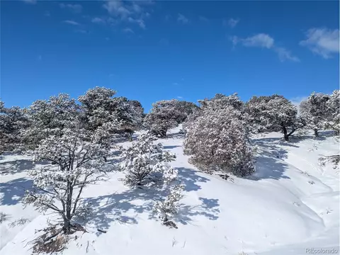 2007 Bluffs, Crestone, CO 81131 photo 24