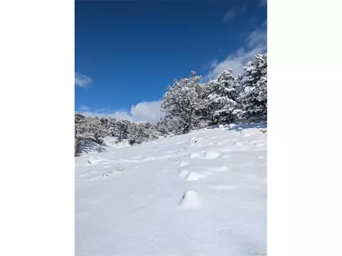 2007 Bluffs, Crestone, CO 81131 photo 20