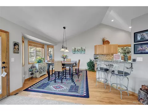 1187 County Road 72, Bailey, CO 80421 photo 6