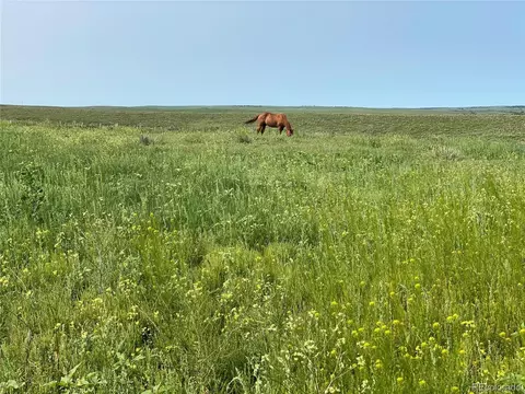 County Road 166, Agate, CO 80105 photo 3