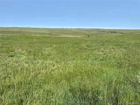 County Road 166, Agate, CO 80105 photo 5