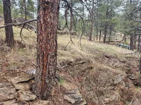 0 Forest Hill Rd, Evergreen, CO 80439
