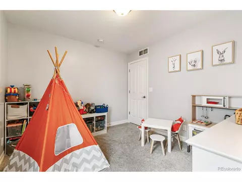 2184 Willow Ct, Denver, CO 80238 photo 25
