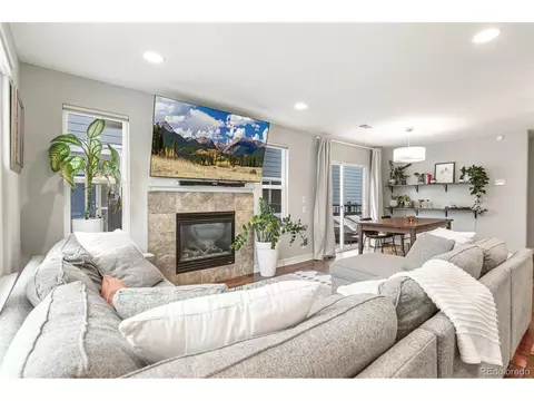 2184 Willow Ct, Denver, CO 80238 photo 7