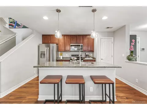 2184 Willow Ct, Denver, CO 80238 photo 10