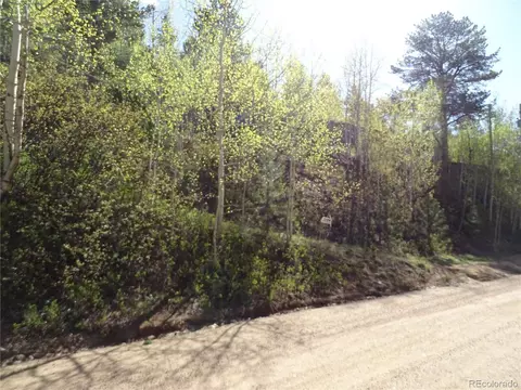 7394 County Road 43, Bailey, CO 80421 photo 12