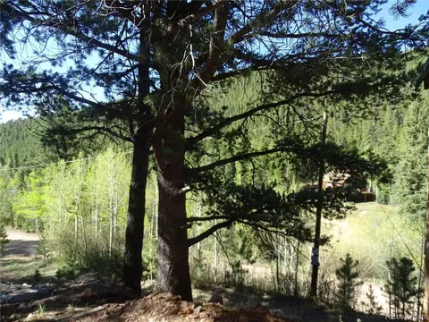 7394 County Road 43, Bailey, CO 80421 photo 10