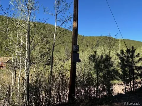 7394 County Road 43, Bailey, CO 80421 photo 6