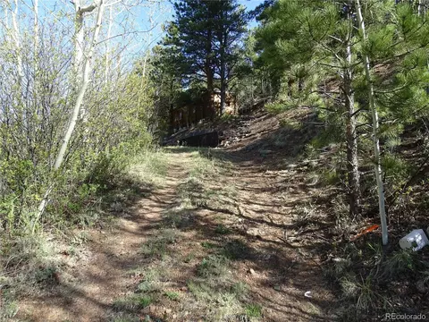 7394 County Road 43, Bailey, CO 80421 photo 8