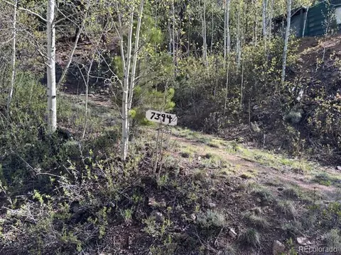 7394 County Road 43, Bailey, CO 80421 photo 1