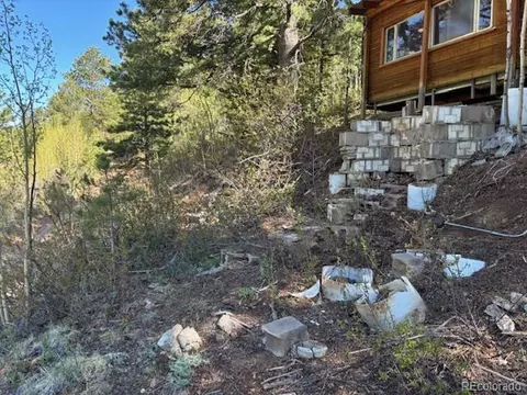7394 County Road 43, Bailey, CO 80421 photo 2