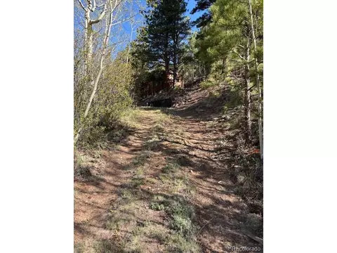 7394 County Road 43, Bailey, CO 80421 photo 3