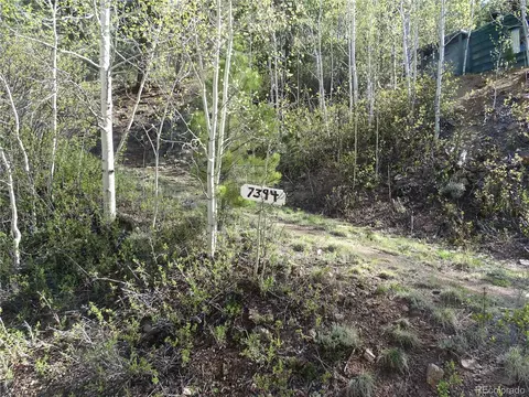 7394 County Road 43, Bailey, CO 80421 photo 7