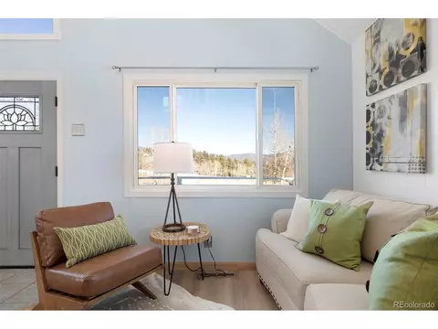 Living - 560 S Pine Dr, Bailey, CO 80421 photo 3 of 3