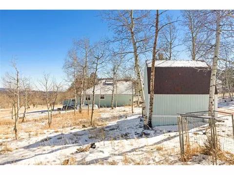 Exterior - 560 S Pine Dr, Bailey, CO 80421 photo 4 of 5