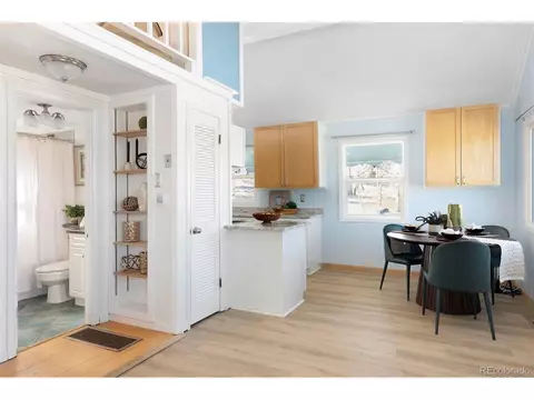 Other - 560 S Pine Dr, Bailey, CO 80421 photo 2 of 12
