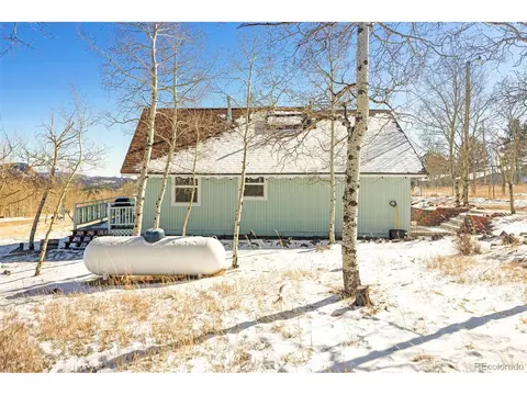 Other - 560 S Pine Dr, Bailey, CO 80421 photo 8 of 12