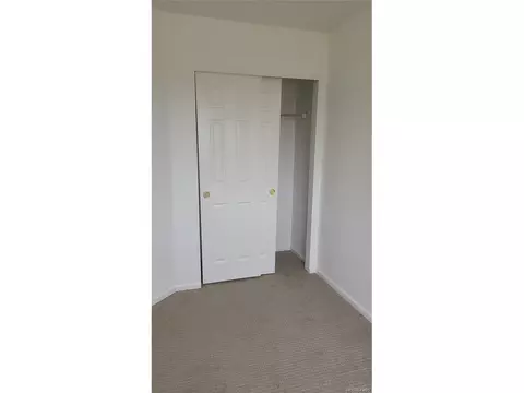 3954 Malta St, Denver, CO 80249 photo 23