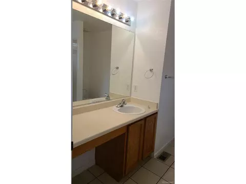 3954 Malta St, Denver, CO 80249 photo 17