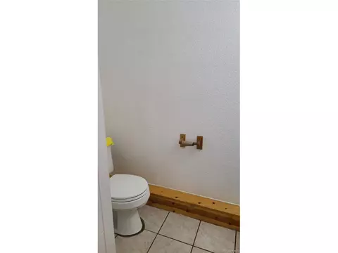 3954 Malta St, Denver, CO 80249 photo 10