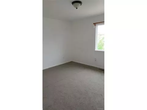3954 Malta St, Denver, CO 80249 photo 15