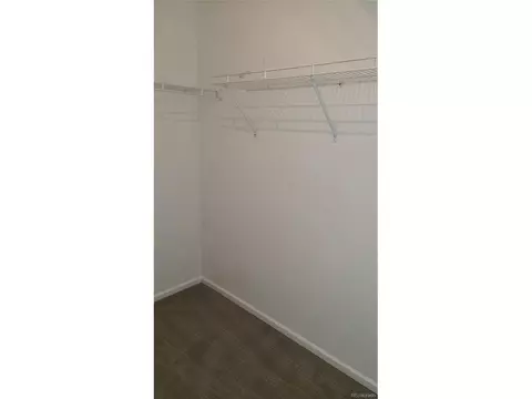 3954 Malta St, Denver, CO 80249 photo 16