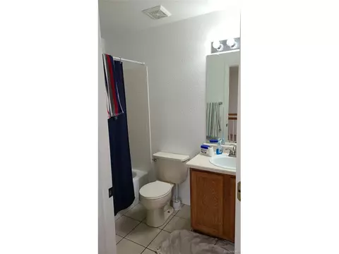 3954 Malta St, Denver, CO 80249 photo 21
