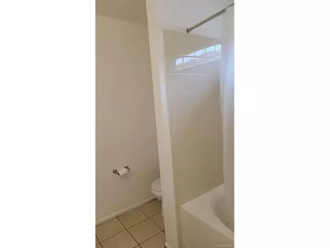 3954 Malta St, Denver, CO 80249 photo 18