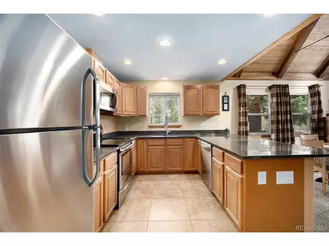 12569 S Parker Ave, Pine, CO 80470 photo 3