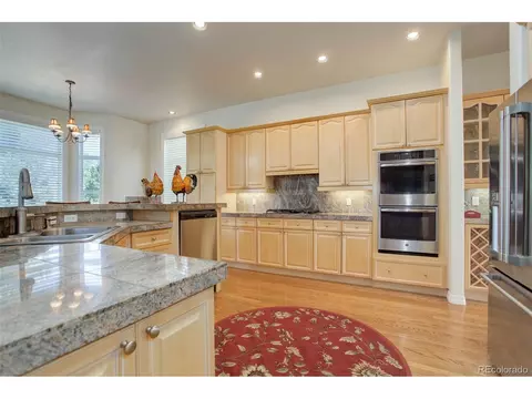 10029 Longview Dr, Lone Tree, CO 80124 photo 12