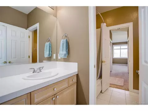 10029 Longview Dr, Lone Tree, CO 80124 photo 30