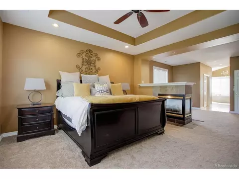 10029 Longview Dr, Lone Tree, CO 80124 photo 23