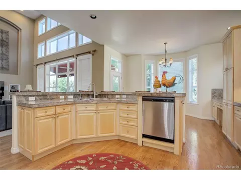 10029 Longview Dr, Lone Tree, CO 80124 photo 11
