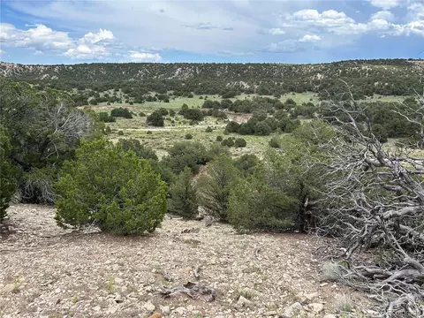 51 Clg UNIT DD, Gardner, CO 81040 photo 16