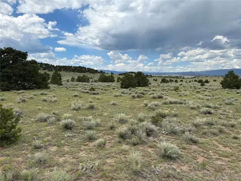 51 Clg UNIT DD, Gardner, CO 81040 photo 19