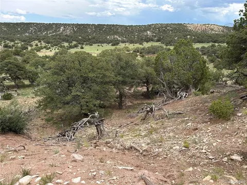51 Clg UNIT DD, Gardner, CO 81040 photo 13