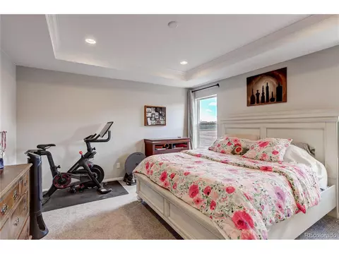 19192 E 65th Pl, Denver, CO 80249 photo 19