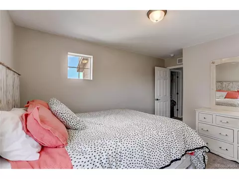 19192 E 65th Pl, Denver, CO 80249 photo 29
