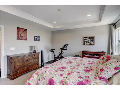 19192 E 65th Pl, Denver, CO 80249 photo 22
