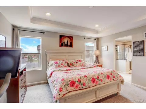 19192 E 65th Pl, Denver, CO 80249 photo 20